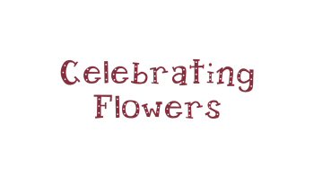 Celebrating Flowers Quilt Pattern